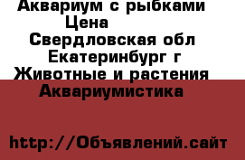 Аквариум с рыбками › Цена ­ 4 000 - Свердловская обл., Екатеринбург г. Животные и растения » Аквариумистика   
